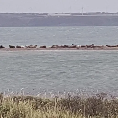 Feriehus Fiskerhuset