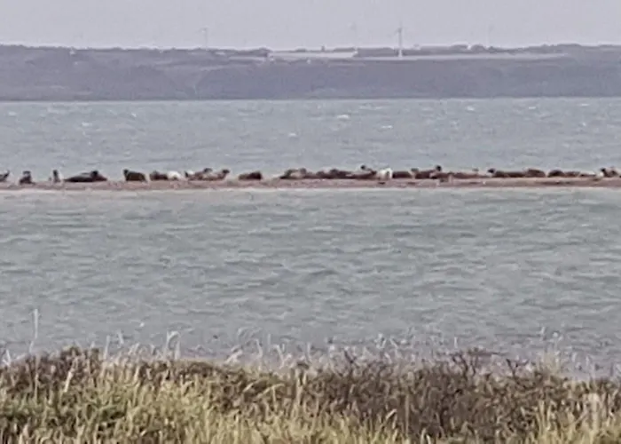 Ferienhaus Fiskerhuset